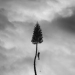 a black mile to the surface manchester orchestra review
